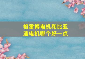 格雷博电机和比亚迪电机哪个好一点