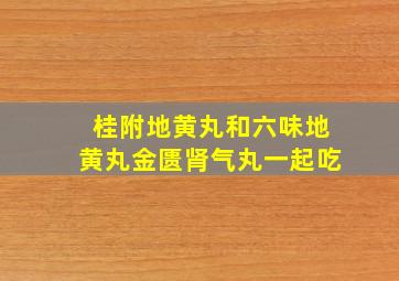 桂附地黄丸和六味地黄丸金匮肾气丸一起吃