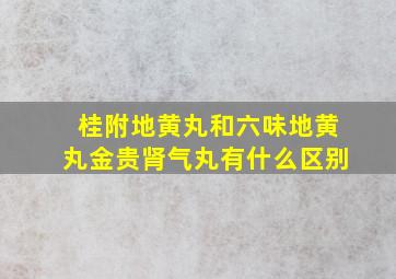 桂附地黄丸和六味地黄丸金贵肾气丸有什么区别