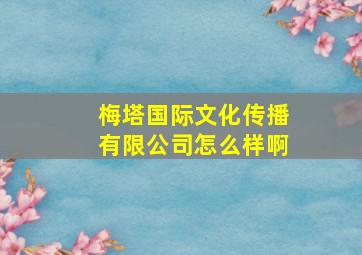 梅塔国际文化传播有限公司怎么样啊