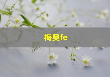 梅奥fe