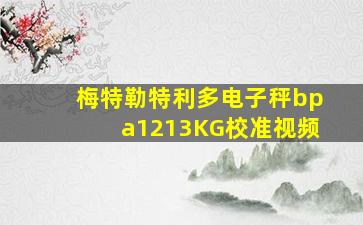 梅特勒特利多电子秤bpa1213KG校准视频