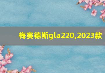 梅赛德斯gla220,2023款