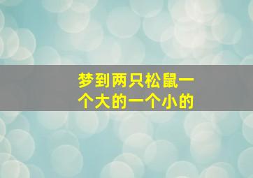 梦到两只松鼠一个大的一个小的