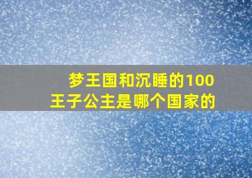 梦王国和沉睡的100王子公主是哪个国家的