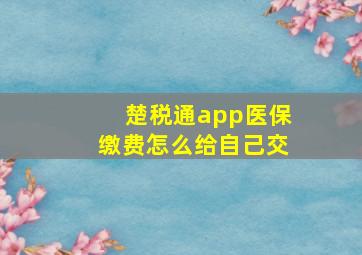 楚税通app医保缴费怎么给自己交