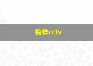 榜样cctv