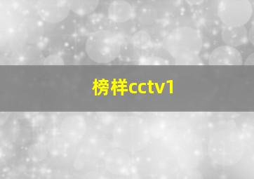 榜样cctv1