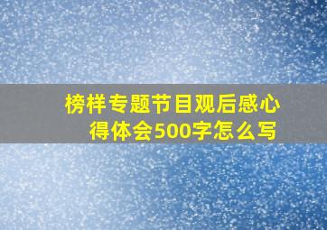 榜样专题节目观后感心得体会500字怎么写