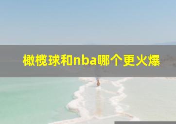 橄榄球和nba哪个更火爆