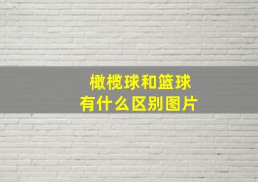 橄榄球和篮球有什么区别图片