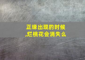 正缘出现的时候,烂桃花会消失么