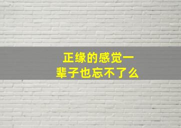 正缘的感觉一辈子也忘不了么