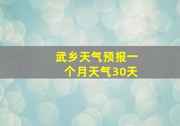 武乡天气预报一个月天气30天