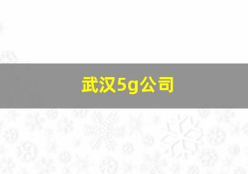 武汉5g公司