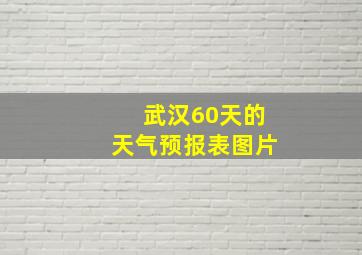 武汉60天的天气预报表图片