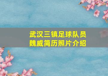 武汉三镇足球队员魏威简历照片介绍