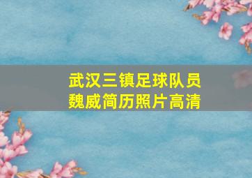 武汉三镇足球队员魏威简历照片高清