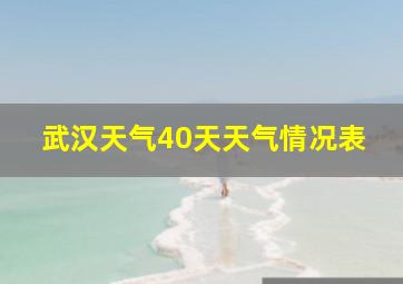 武汉天气40天天气情况表