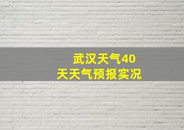 武汉天气40天天气预报实况