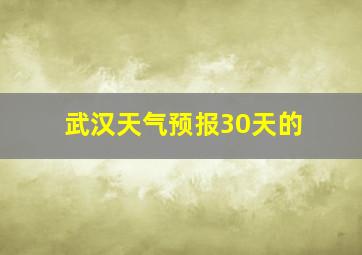 武汉天气预报30天的