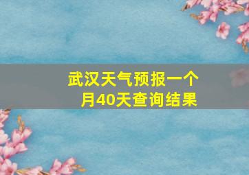 武汉天气预报一个月40天查询结果