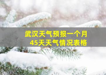 武汉天气预报一个月45天天气情况表格