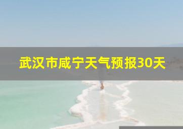 武汉市咸宁天气预报30天