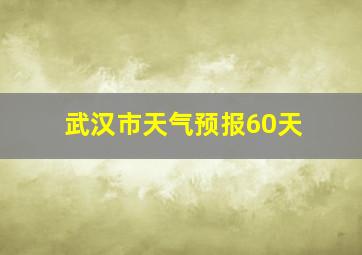 武汉市天气预报60天