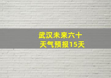 武汉未来六十天气预报15天