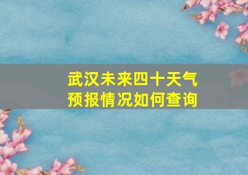 武汉未来四十天气预报情况如何查询