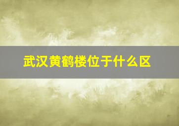 武汉黄鹤楼位于什么区