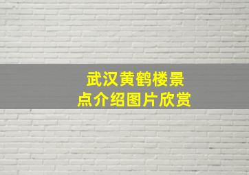 武汉黄鹤楼景点介绍图片欣赏