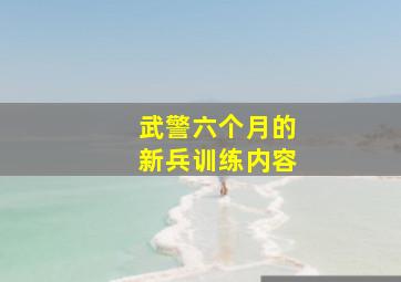 武警六个月的新兵训练内容