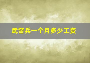 武警兵一个月多少工资