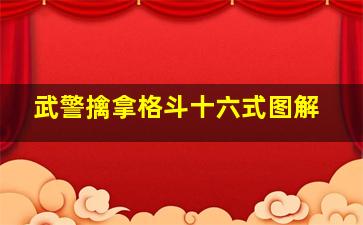 武警擒拿格斗十六式图解