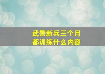 武警新兵三个月都训练什么内容