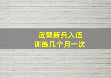 武警新兵入伍训练几个月一次