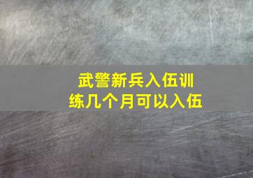 武警新兵入伍训练几个月可以入伍