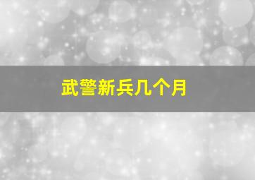 武警新兵几个月