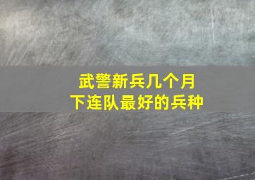 武警新兵几个月下连队最好的兵种