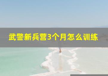 武警新兵营3个月怎么训练