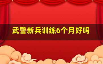 武警新兵训练6个月好吗