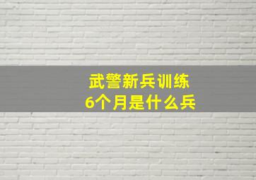 武警新兵训练6个月是什么兵