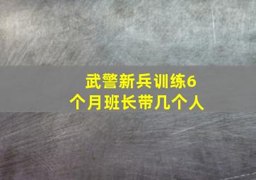 武警新兵训练6个月班长带几个人