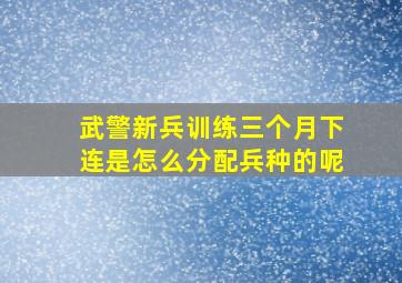 武警新兵训练三个月下连是怎么分配兵种的呢