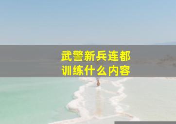 武警新兵连都训练什么内容