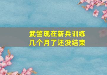 武警现在新兵训练几个月了还没结束