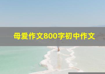 母爱作文800字初中作文