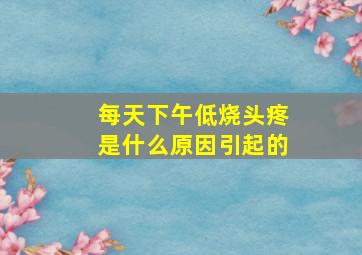 每天下午低烧头疼是什么原因引起的